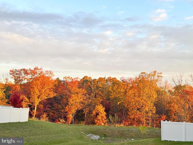 118 TWINLEAF WAY, Lake Frederick, VA 22630