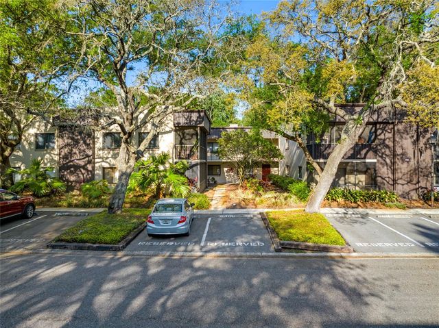 11720 RAINTREE VILLAGE BOULEVARD A, Temple Terrace, FL 33617