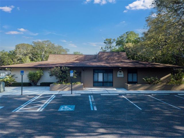 11720 RAINTREE VILLAGE BOULEVARD A, Temple Terrace, FL 33617