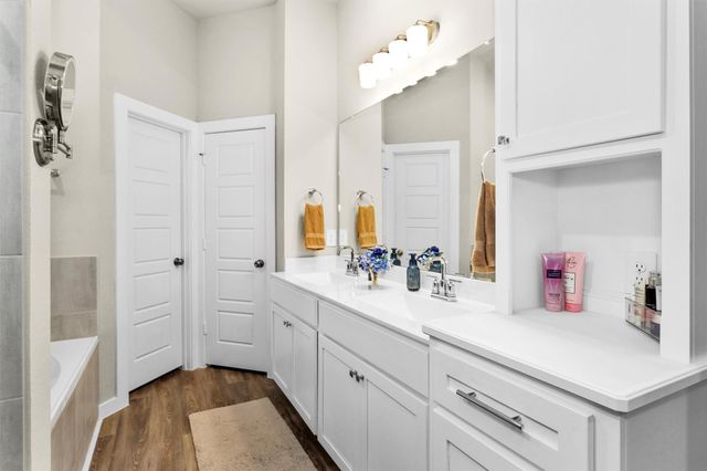 10009 Bigfoot Wallace Drive, Montgomery, TX 77316