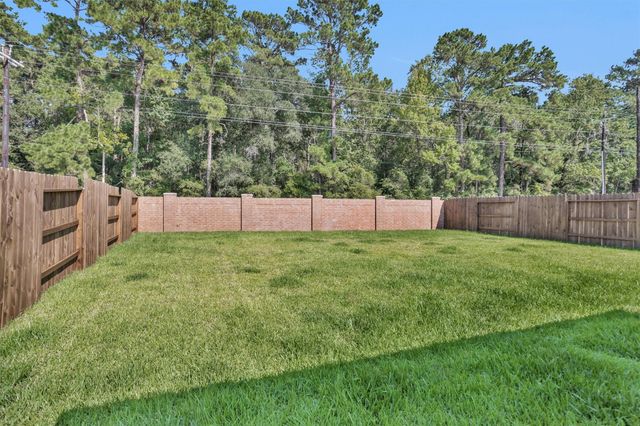 10009 Bigfoot Wallace Drive, Montgomery, TX 77316