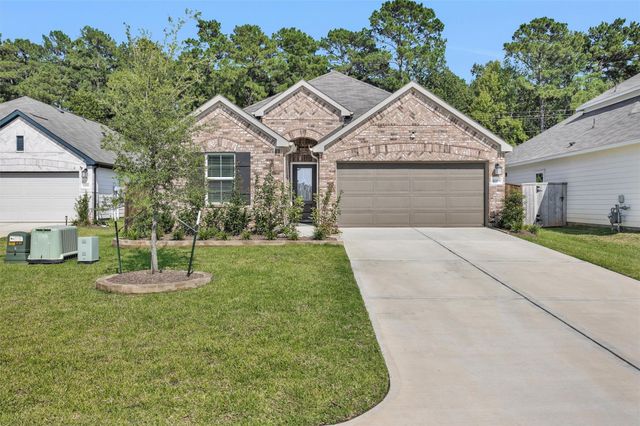 10009 Bigfoot Wallace Drive, Montgomery, TX 77316