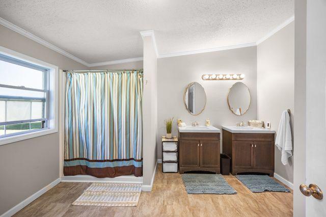 6115 Elkhorn Rd, Springville, TN 38256