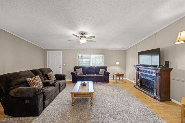 6115 Elkhorn Rd, Springville, TN 38256