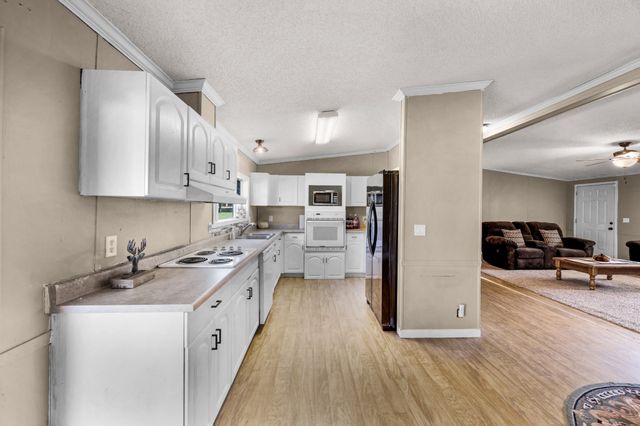 6115 Elkhorn Rd, Springville, TN 38256