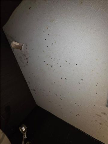 676 Hog Liver Road, Carrollton, GA 30117