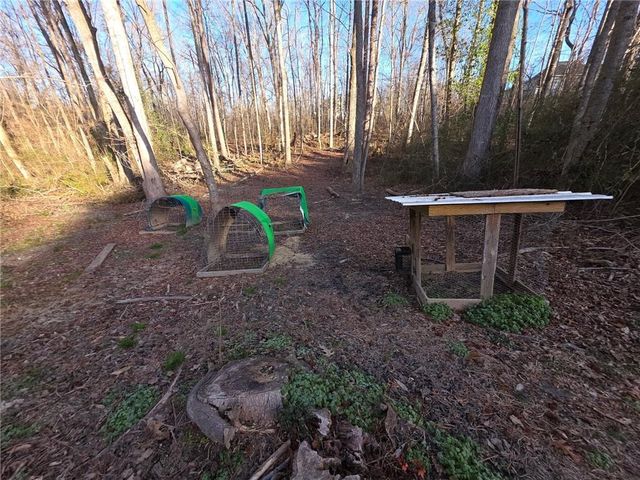 676 Hog Liver Road, Carrollton, GA 30117