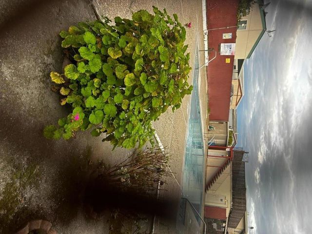 2053 E Bayshore Road, Redwood City, CA 94063