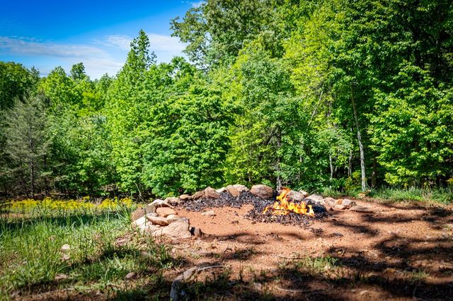 479 Big Timber Road, Mineral Bluff, GA 30559