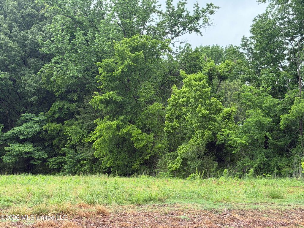 Green River Road, Lake Cormorant, MS 38641 — exterior