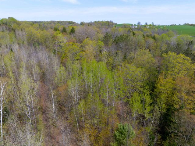 348 MacDonald Road, Washington, VT 05675