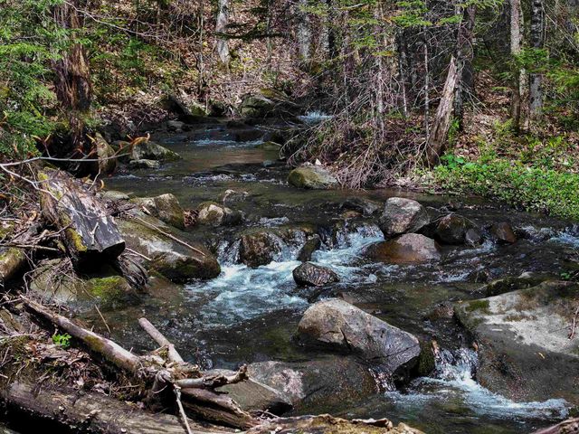348 MacDonald Road, Washington, VT 05675