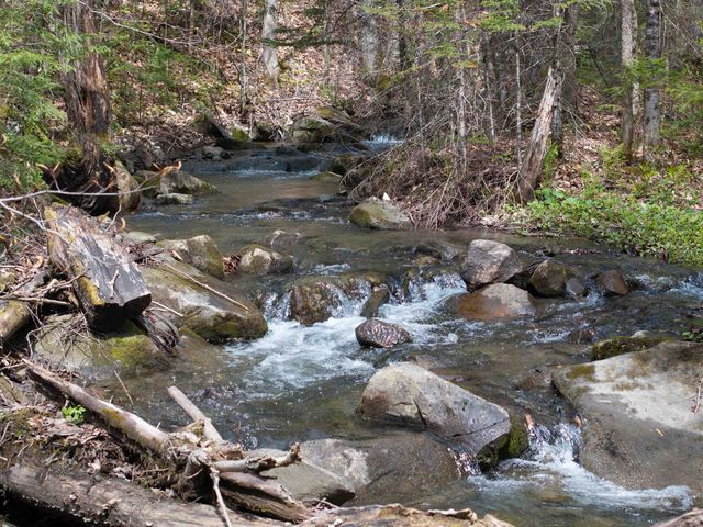 348 MacDonald Road, Washington, VT 05675