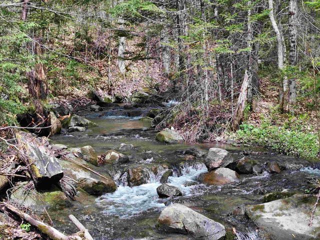 348 MacDonald Road, Washington, VT 05675
