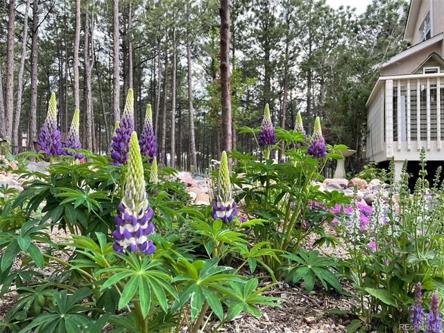 17725 Martingale Road, Monument, CO 80132