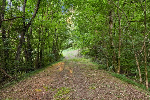 1911 Evergreen Rd, Thompsons Station, TN 37179