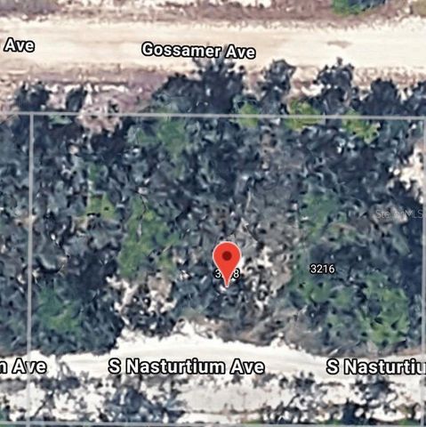 3218 GOSSAMER AVENUE, Lake Placid, FL 33852