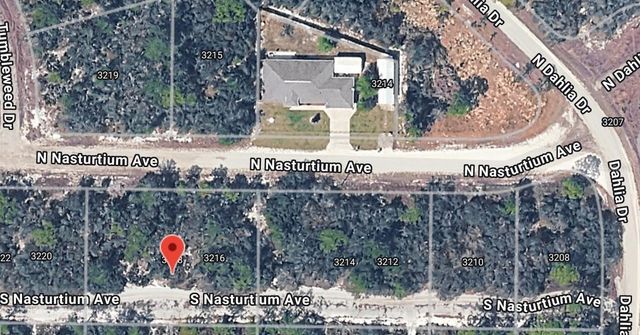 3218 GOSSAMER AVENUE, Lake Placid, FL 33852