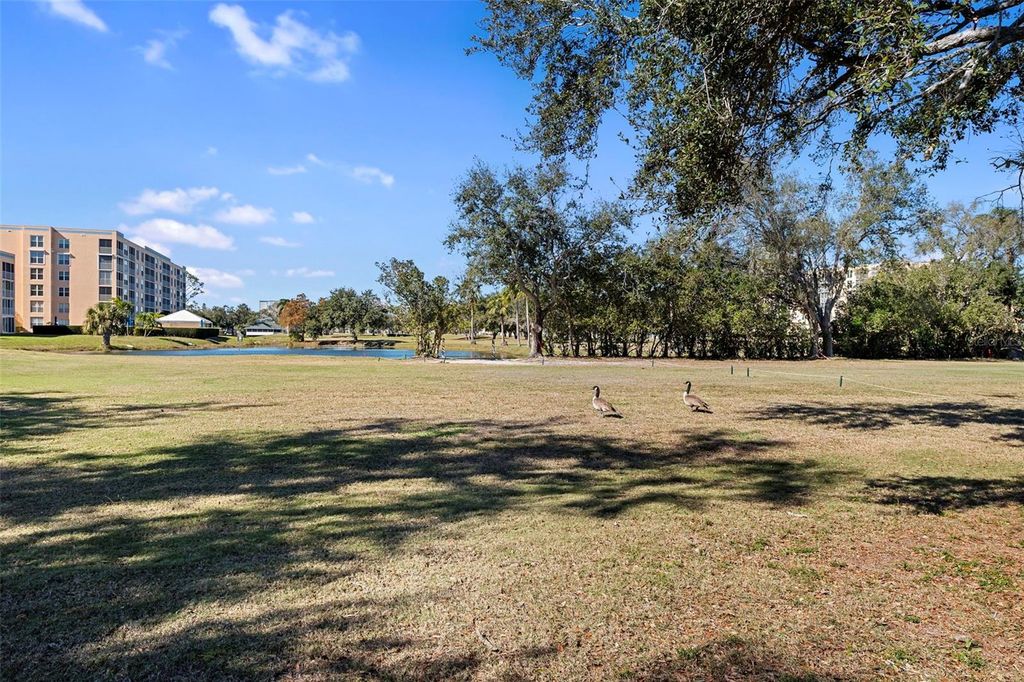 Image 32 of property listing at 4220 PINEBROOK CIRCLE 10, Bradenton, FL 34209