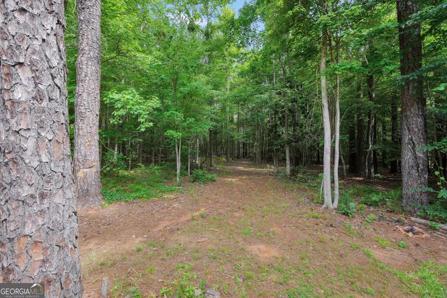 1577 Stark Road, Jackson, GA 30233