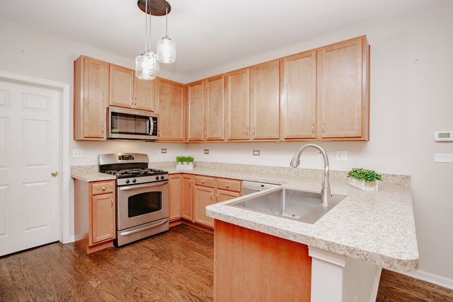1208 WAVERLY Drive 1208, Volo, IL 60020