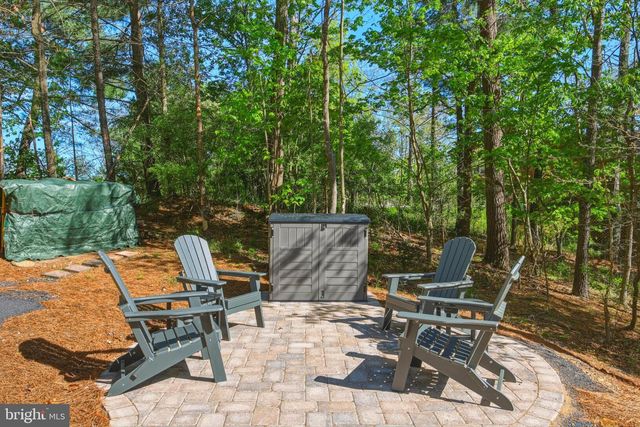 85 PICKETT, Basye, VA 22810