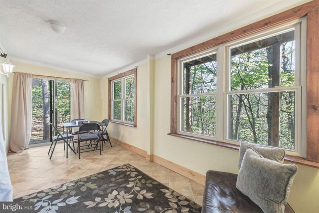 85 PICKETT, Basye, VA 22810