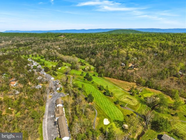 85 PICKETT, Basye, VA 22810