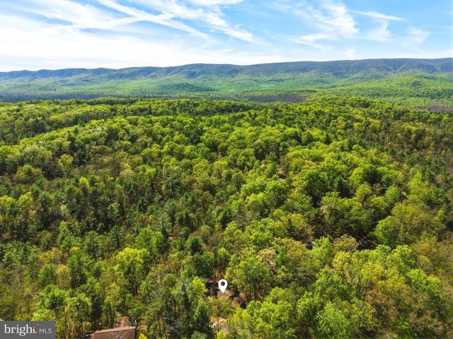 85 PICKETT, Basye, VA 22810