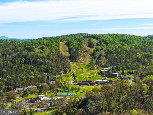 85 PICKETT, Basye, VA 22810