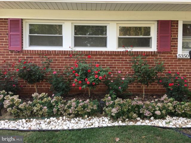5350 RAVENSWORTH RD, Springfield, VA 22151