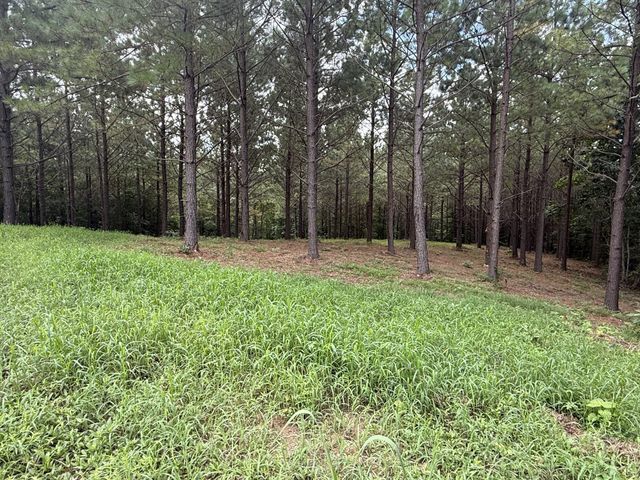 5608 Old Hohenwald rd, Linden, TN 37096