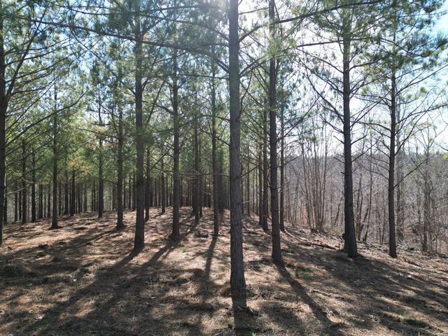 5608 Old Hohenwald rd, Linden, TN 37096