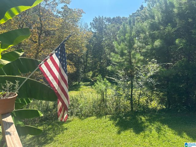 8 BLUE RIDGE DRIVE, Talladega, AL 35160