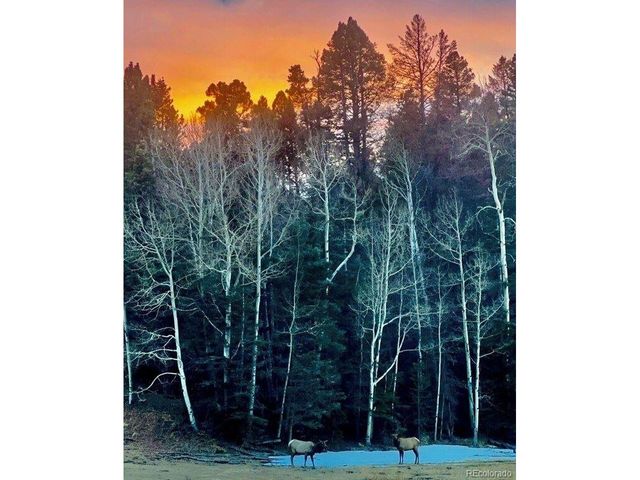 16679 Highway 96, Wetmore, CO 81253