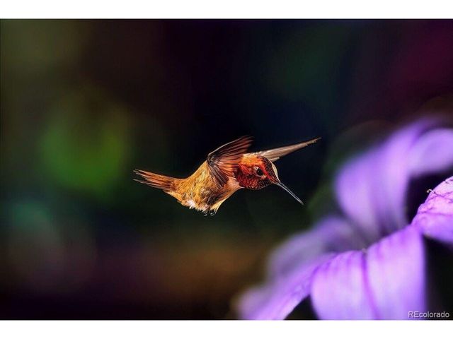 16679 Highway 96, Wetmore, CO 81253