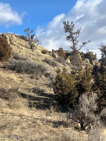 31 Bluffs Court, Clyde Park, MT 59018