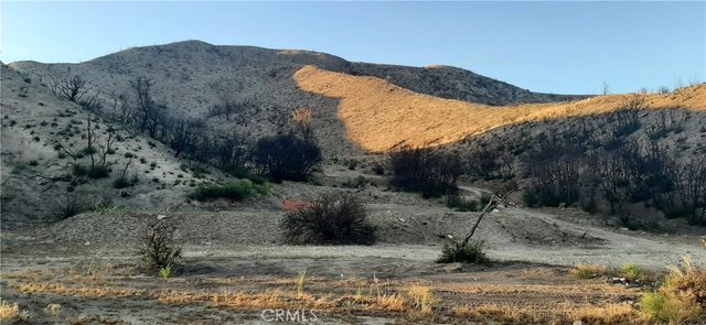 20129 Pine Canyon, Lake Hughes, CA 93532