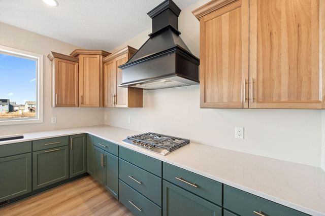 17961 Hidden Creek Trail, Lakeville, MN 55044