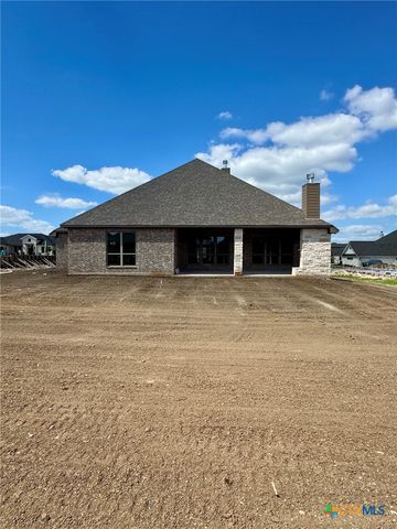 10805 Saddlesoap Cove, Temple, TX 76502