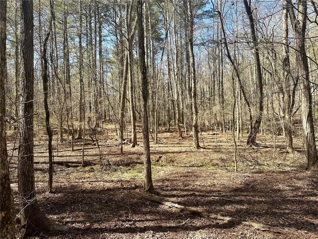 555 Larmon Forks Road, Dahlonega, GA 30533