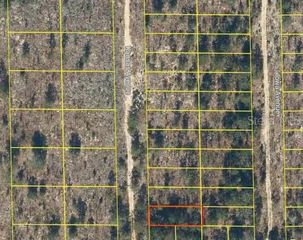 102 KANSAS AVENUE, Hawthorne, FL 32640