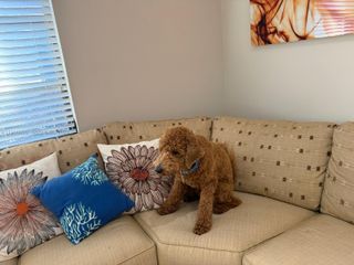 6180 Kings Gate Cir, Delray Beach, FL 33484