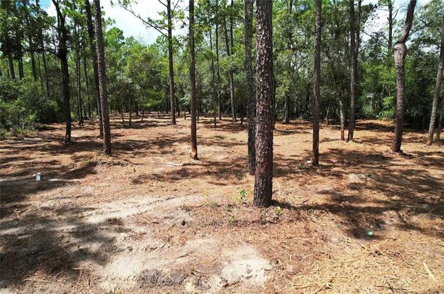 SW 183RD TERRACE, Dunnellon, FL 34432