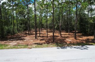 SW 183RD TERRACE, Dunnellon, FL 34432