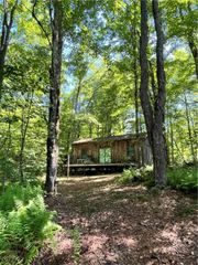 2865 Steam Mill Road, Masonville, NY 13804
