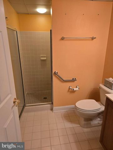 424 SNOWY OWL LN, New Hope, PA 18938