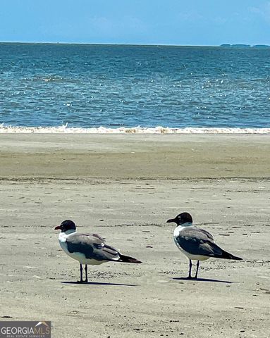 1040 Demere Road, St. Simons, GA 31522