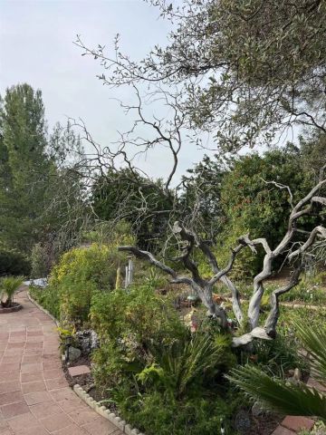 18218 Paradise Mountain Rd space 83, Valley Center, CA 92082