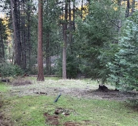 18916 Inspiration Dr, Pioneer, CA 95666